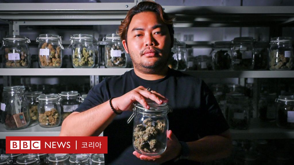 ·“重新监管休闲大麻？”……泰国的“绿色黄金”大麻产业正在动摇